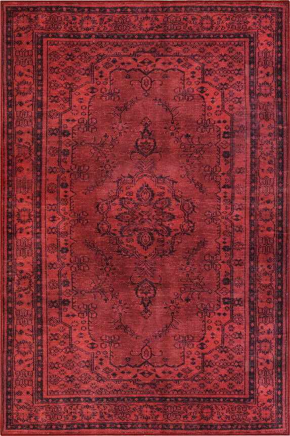 Vintage Design Red Area Rug